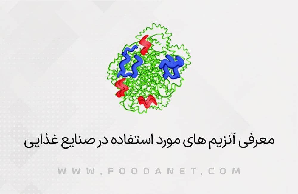 معرفی آنزیم های مورد استفاده در صنایع غذایی