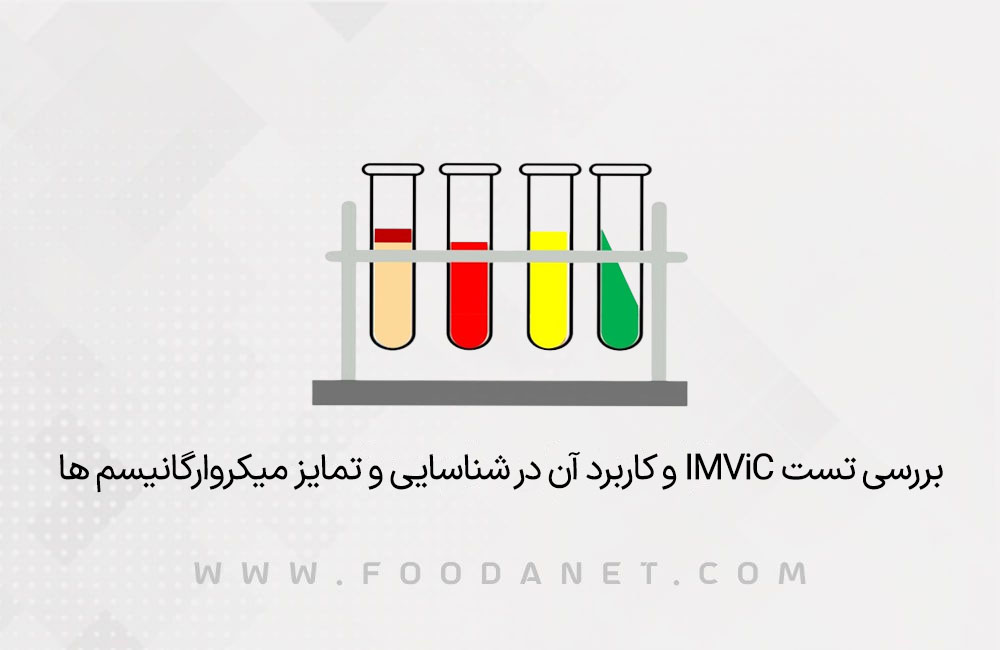 بررسی تستIMViC و کاربرد آن در شناسایی و تمایز میکروارگانیسم ها