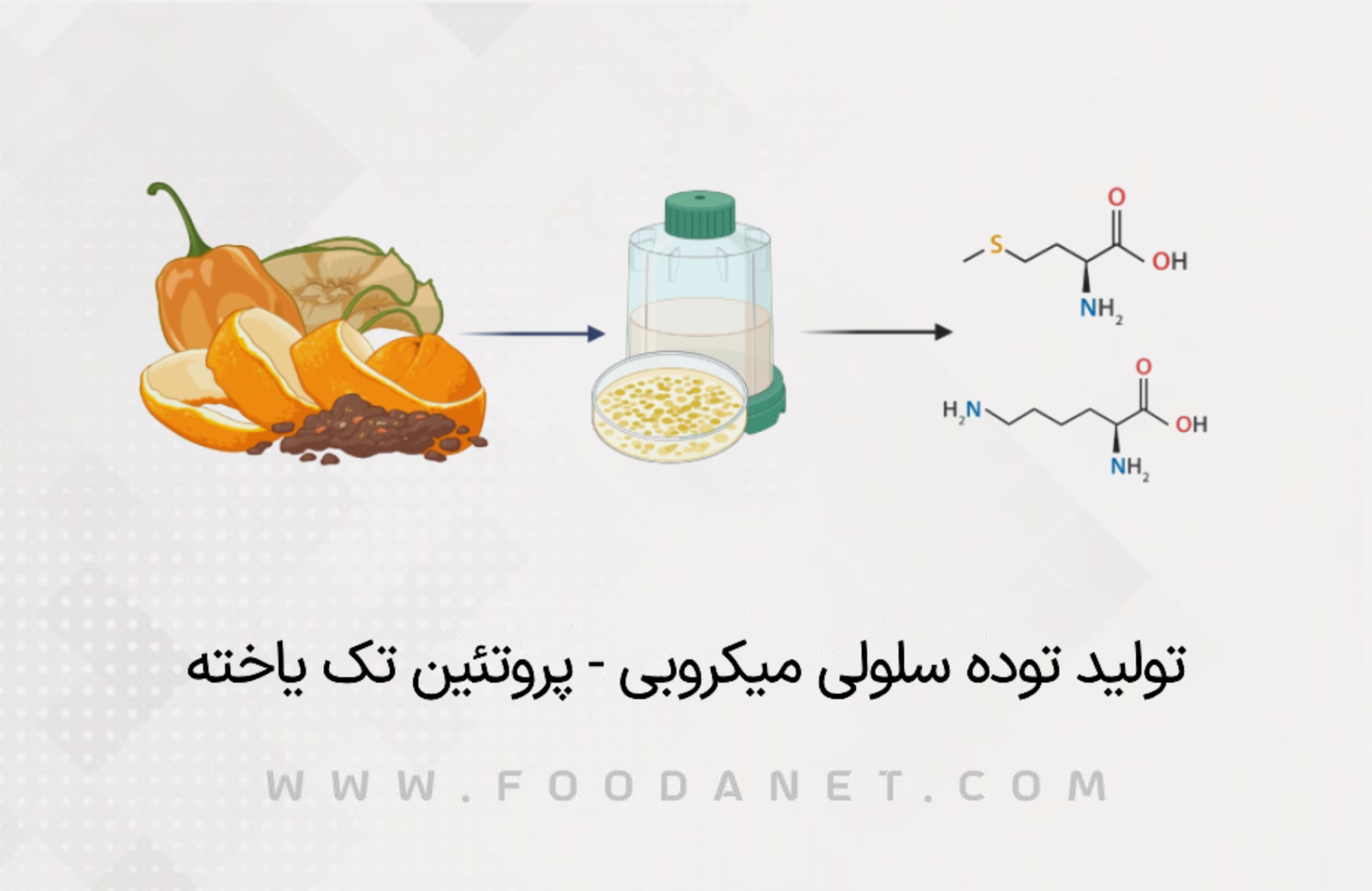 تولید توده سلولی میکروبی - پروتئین تک یاخته