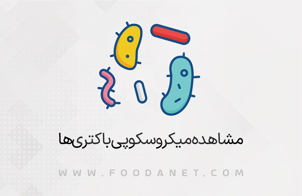 مشاهده میکروسکوپی باکتری‌ها