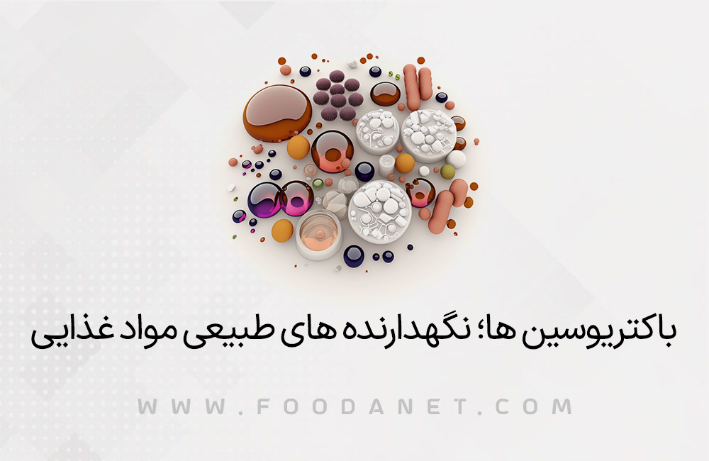 باکتریوسین ها؛ نگهدارنده ها طبیعی مواد غذایی